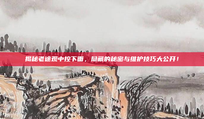 揭秘老途观中控下面,隐藏的秘密与维护技巧大公开!