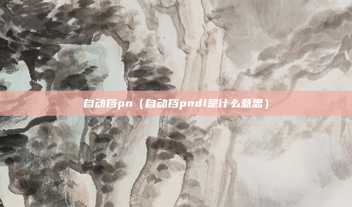 自动挡pn(自动挡pndl是什么意思)