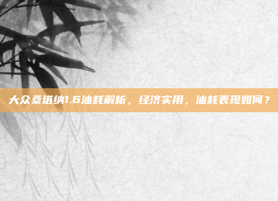 大众桑塔纳1.6油耗解析，经济实用，油耗表现如何？