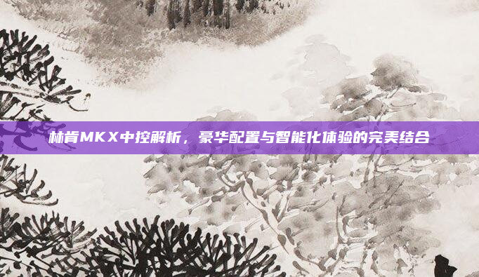 林肯MKX中控解析,豪华配置与智能化体验的完美结合