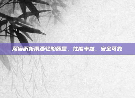 深度解析雨燕轮胎质量，性能卓越，安全可靠
