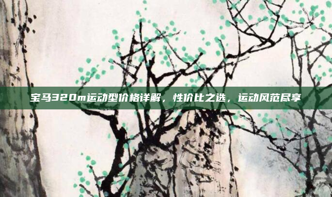 宝马320m运动型价格详解，性价比之选，运动风范尽享