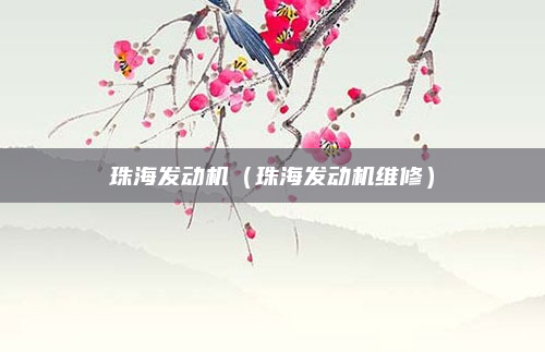 珠海发动机(珠海发动机维修)