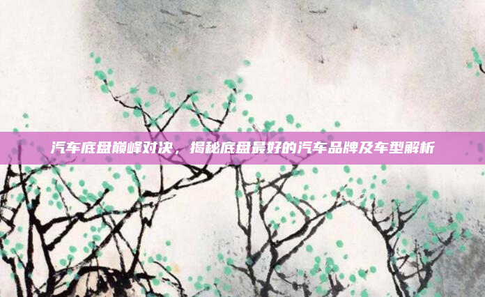 汽车底盘巅峰对决，揭秘底盘最好的汽车品牌及车型解析