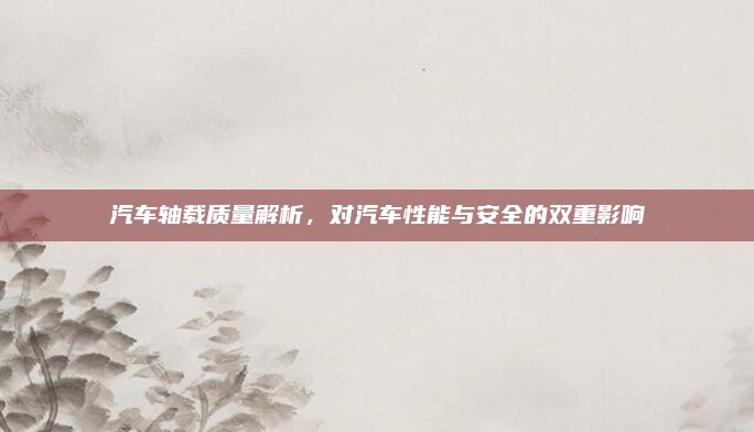 汽车轴载质量解析,对汽车性能与安全的双重影响