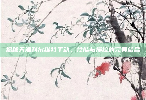 揭秘天津科尔维特手动，性能与操控的完美结合