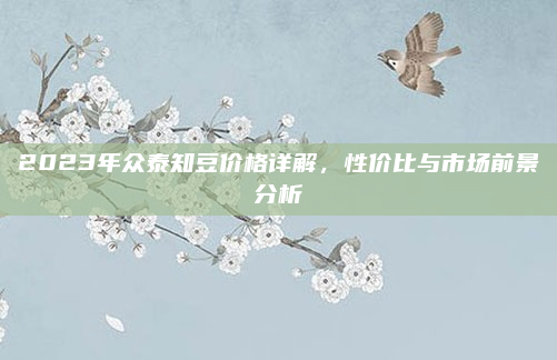 2023年众泰知豆价格详解,性价比与市场前景分析