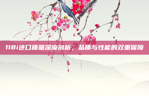 118i进口质量深度剖析,品质与性能的双重保障