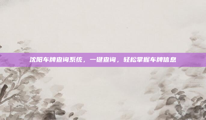 沈阳车牌查询系统，一键查询，轻松掌握车牌信息