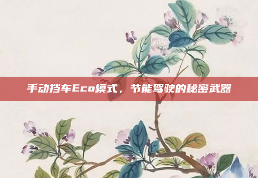 手动挡车Eco模式，节能驾驶的秘密武器