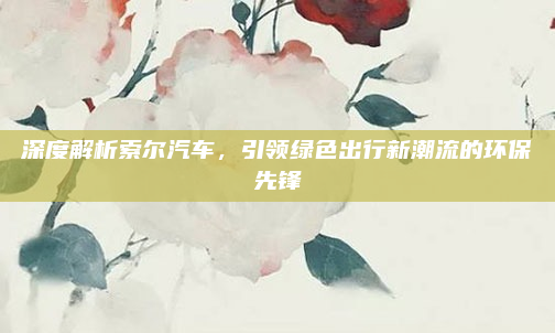深度解析索尔汽车,引领绿色出行新潮流的环保先锋