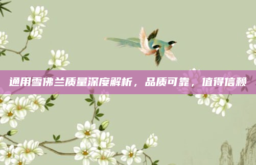 通用雪佛兰质量深度解析,品质可靠,值得信赖