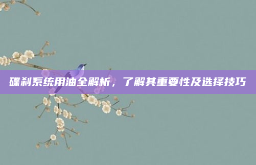 碟刹系统用油全解析,了解其重要性及选择技巧