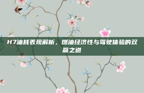 H7油耗表现解析,燃油经济性与驾驶体验的双赢之道