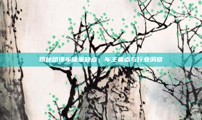 揭秘哈佛车质量缺点，车主痛点与行业洞察