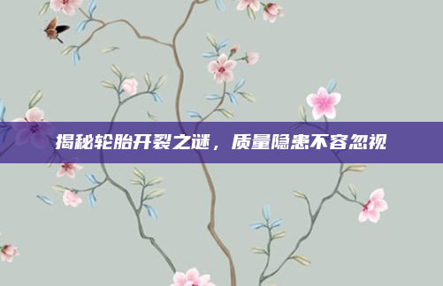 揭秘轮胎开裂之谜,质量隐患不容忽视