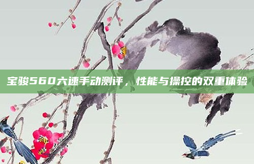 宝骏560六速手动测评，性能与操控的双重体验