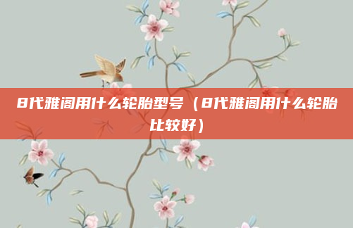 8代雅阁用什么轮胎型号（8代雅阁用什么轮胎比较好）