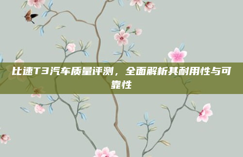 比速T3汽车质量评测,全面解析其耐用性与可靠性