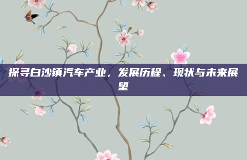 探寻白沙镇汽车产业，发展历程、现状与未来展望