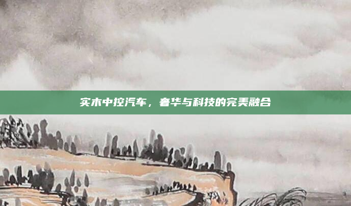 实木中控汽车,奢华与科技的完美融合