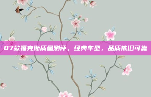 07款福克斯质量测评,经典车型,品质依旧可靠