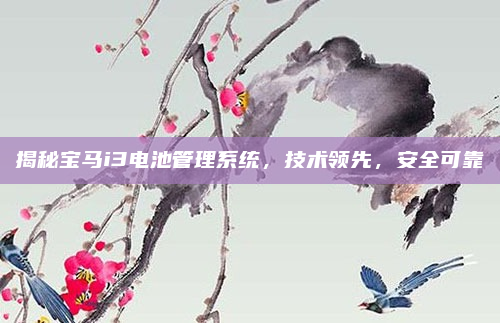 揭秘宝马i3电池管理系统，技术领先，安全可靠