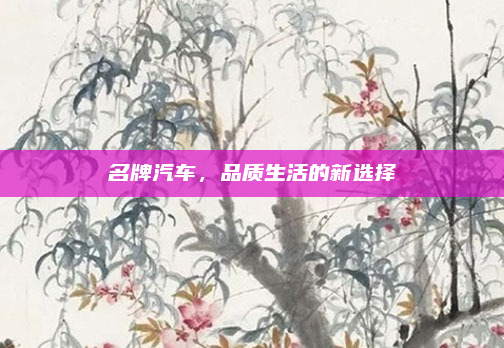 名牌汽车，品质生活的新选择