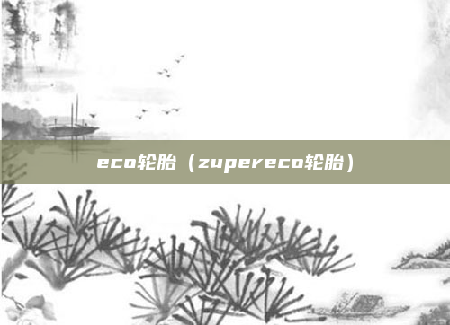 eco轮胎（zupereco轮胎）
