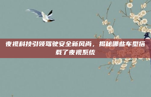 夜视科技引领驾驶安全新风尚,揭秘哪些车型搭载了夜视系统