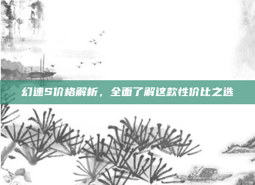 幻速S价格解析,全面了解这款性价比之选