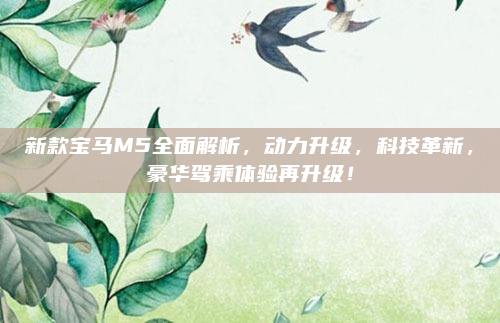 新款宝马M5全面解析,动力升级,科技革新,豪华驾乘体验再升级!