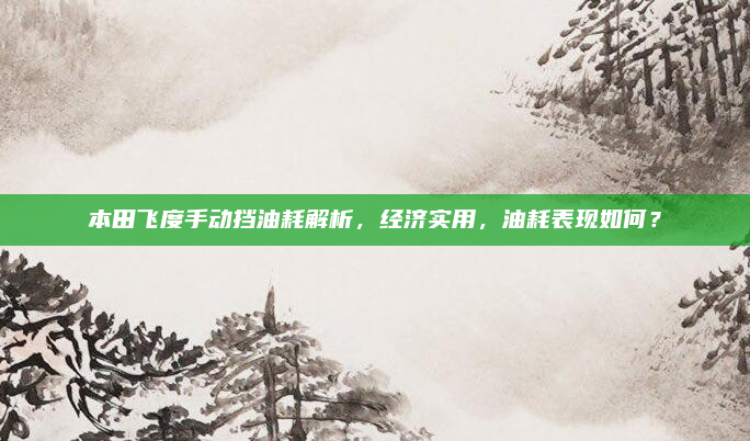 本田飞度手动挡油耗解析，经济实用，油耗表现如何？