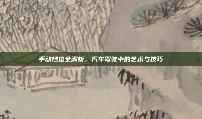 手动档位全解析,汽车驾驶中的艺术与技巧