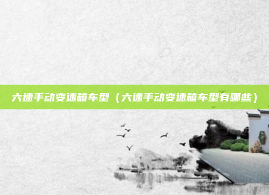 六速手动变速箱车型（六速手动变速箱车型有哪些）