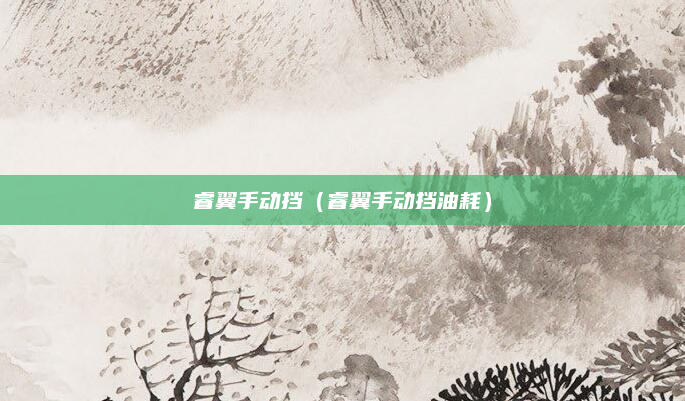睿翼手动挡（睿翼手动挡油耗）