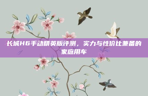 长城H6手动精英版评测,实力与性价比兼备的家庭用车