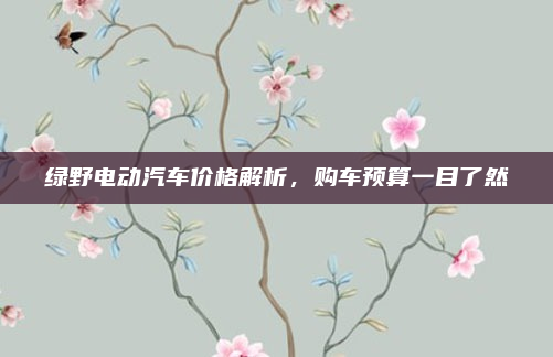 绿野电动汽车价格解析，购车预算一目了然