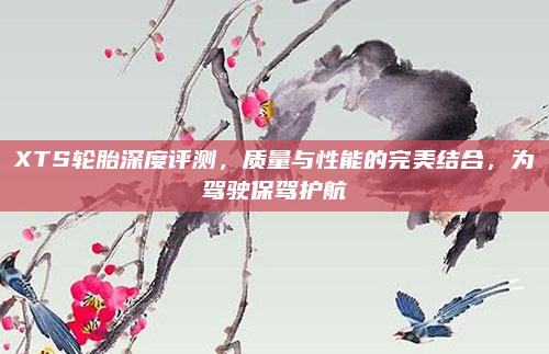 XTS轮胎深度评测，质量与性能的完美结合，为驾驶保驾护航