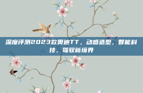 深度评测2023款奥迪TT,动感造型,智能科技,驾驭新境界