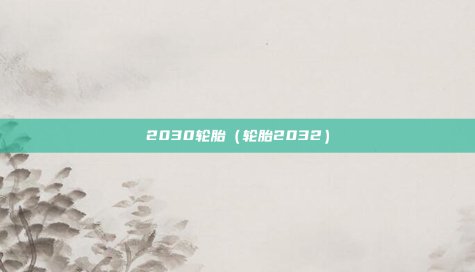 2030轮胎（轮胎2032）