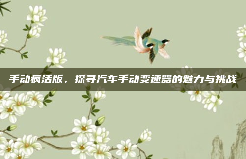 手动疯活版,探寻汽车手动变速器的魅力与挑战