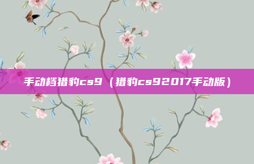 手动档猎豹cs9（猎豹cs92017手动版）