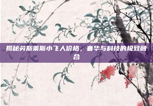 揭秘劳斯莱斯小飞人价格,奢华与科技的极致融合
