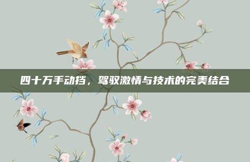 四十万手动挡，驾驭激情与技术的完美结合