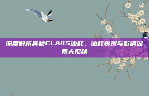 深度解析奔驰CLA45油耗,油耗表现与影响因素大揭秘