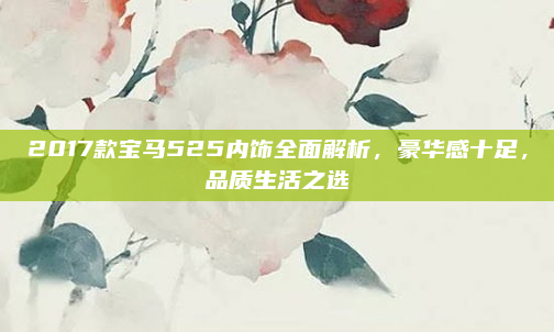 2017款宝马525内饰全面解析，豪华感十足，品质生活之选