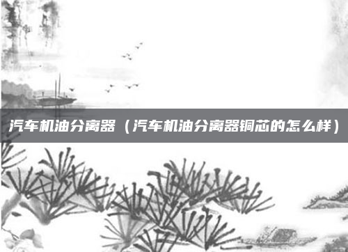 汽车机油分离器（汽车机油分离器铜芯的怎么样）