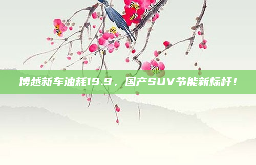 博越新车油耗19.9,国产SUV节能新标杆!