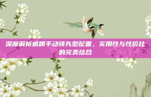 深度解析威朗手动领先型配置,实用性与性价比的完美结合